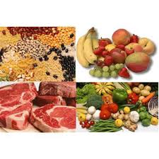 Agro Food Processing
